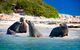 Penguin Island Tour With Dolphin And Sea Lion Cruise - thumb 0