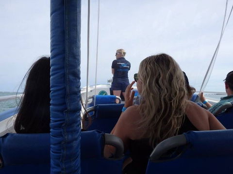 Penguin Island Tour With Dolphin And Sea Lion Cruise - Attractions Sydney 2