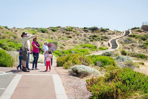 Margaret River Coastal And Wildlife Eco Trip From Busselton Or Dunsborough - Attractions Sydney 1