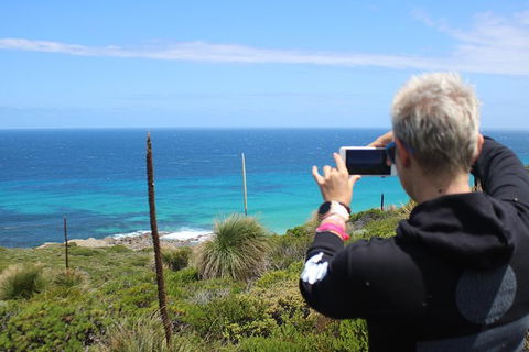 Margaret River Coastal And Wildlife Eco Trip From Busselton Or Dunsborough - Attractions Sydney 12
