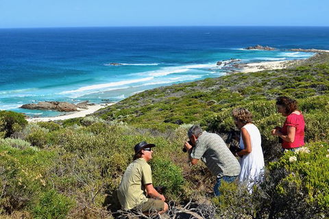 Margaret River Coastal And Wildlife Eco Trip From Busselton Or Dunsborough - Attractions Sydney 2