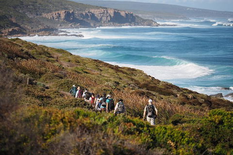8-Day Cape To Cape Track Guided Walking Tour From Perth - Attractions Sydney 0