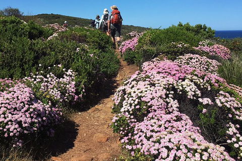 8-Day Cape To Cape Track Guided Walking Tour From Perth - Attractions Sydney 4
