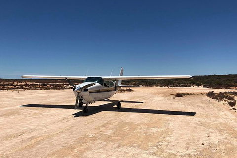 Kalbarri Gorges & West Coast - Ground & Air Tour - Attractions Sydney 6
