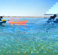 Turtle Tour - Ningaloo Reef Half Day Sea Kayak and Snorkel Tour - Attractions Sydney