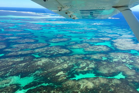 Kalbarri, Pink Lake And Abrolhos Islands Nature Tour - Attractions Sydney 5