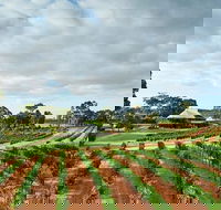 Vasse Felix Winery Tour and Tasting - Attractions Sydney