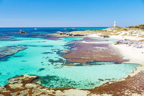 Rottnest Island Bayseeker Day Trip From Fremantle - Attractions Sydney 2