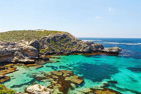 Rottnest Island Bayseeker Day Trip From Fremantle - Attractions Sydney 3