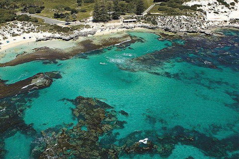 Rottnest Island Bayseeker Day Trip From Fremantle - Attractions Sydney 4