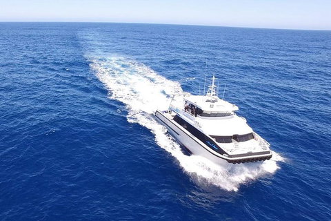 Augusta Whale Watching Eco Tour - Attractions Sydney 8