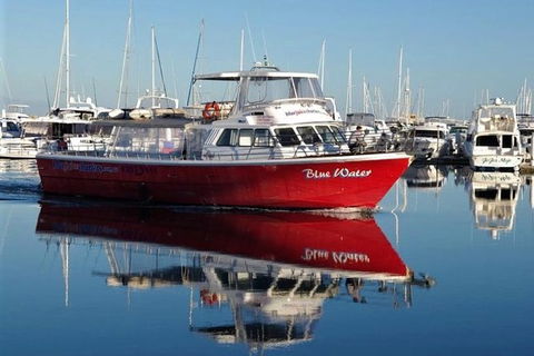 Perth Deep Sea Fishing Trip - Attractions Sydney 0