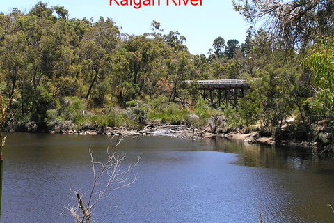 Kalgan Queen Scenic Cruises A Four Hour Sheltered Water Wildlife Tour Daily Fun. - Attractions Sydney 3