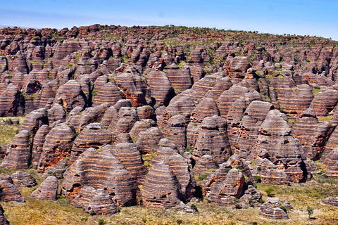 20 Day Perth To Darwin Adventure - Attractions Sydney 15