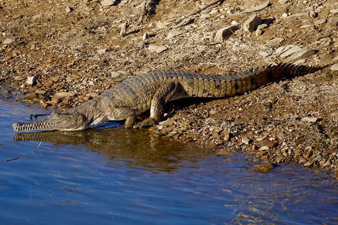 Lake Argyle Best Of Lake Argyle Cruise Departing Lake Argyle - Attractions Sydney 8