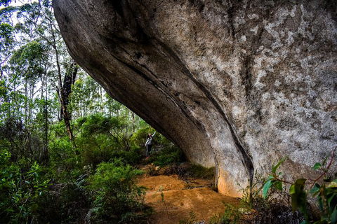 Porongurup Nature & History Eco Tour - Attractions Sydney 0