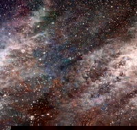 Overnight Astronomy Experience Ningaloo - Yardie Homestead - Attractions Sydney
