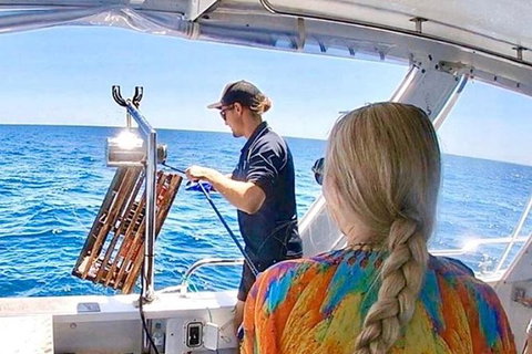 Rottnest Island 5-Course Deluxe Seafood Banquet Cruise - Attractions Sydney 20