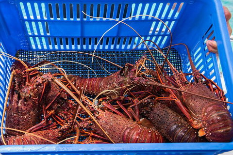 Rottnest Island 5-Course Deluxe Seafood Banquet Cruise - Attractions Sydney 3