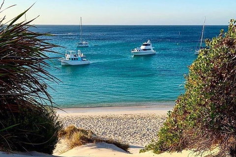 Rottnest Island 5-Course Deluxe Seafood Banquet Cruise - Attractions Sydney 16