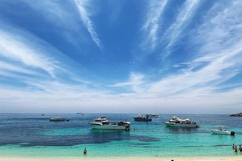 Rottnest Island 5-Course Deluxe Seafood Banquet Cruise - Attractions Sydney 7