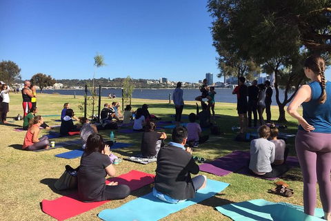 Yoga In The Park - Attractions Sydney 4