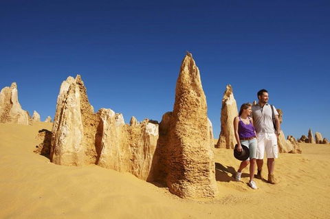 Half Day Pinnacles Sunset Tour - Attractions Sydney 7