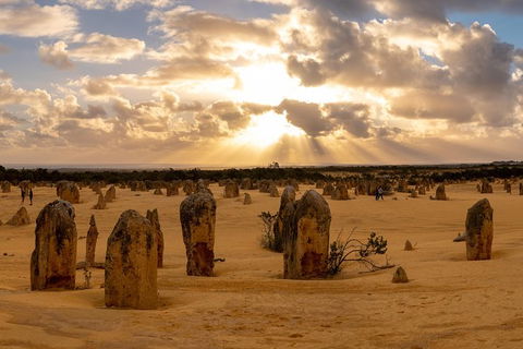 Half Day Pinnacles Sunset Tour - Attractions Sydney 4