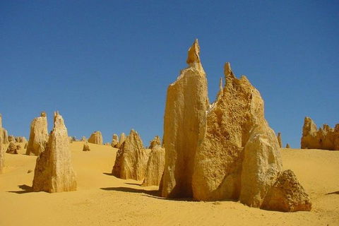 Half Day Pinnacles Sunset Tour - Attractions Sydney 5