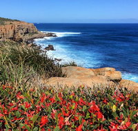 Cape to Cape End-to-End 8 Day Walking Experience - Attractions Sydney