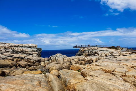 Torndirrup National Park And Bay Highlights - Attractions Sydney 1