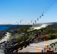 Torndirrup National Park and Bay Highlights - Attractions Sydney