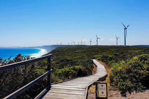 Torndirrup National Park And Bay Highlights - Attractions Sydney 0
