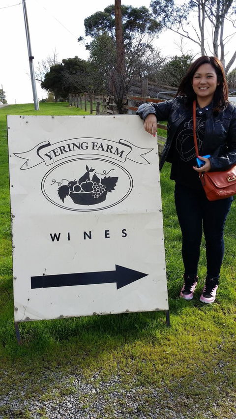 Yarra Valley Wine And Winery Tour From Melbourne - Attractions Sydney 18