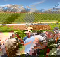 Yarra Valley Wine and Winery Tour from Melbourne - Attractions Sydney