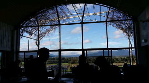 Yarra Valley Wine And Winery Tour From Melbourne - Attractions Sydney 15