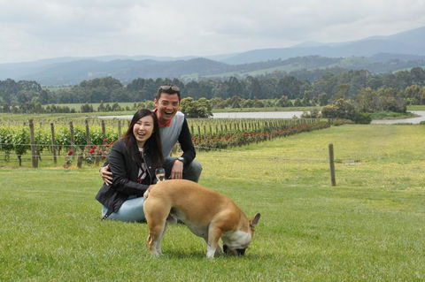Yarra Valley Wine And Winery Tour From Melbourne - Attractions Sydney 6