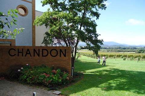 Yarra Valley Wine And Winery Tour From Melbourne - Attractions Sydney 29