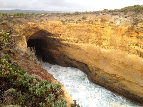 Private Tour: Great Ocean Road From Melbourne - Attractions Sydney 3
