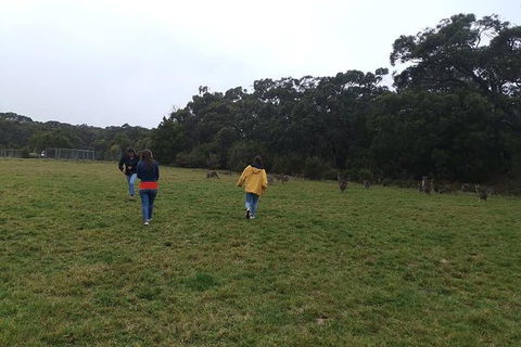 Private Tour: Great Ocean Road From Melbourne - Attractions Sydney 17