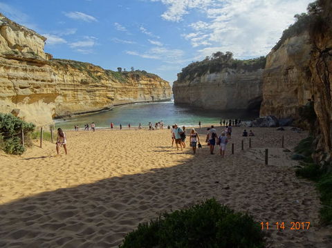 Great Ocean Road Small-Group Ecotour From Melbourne - Attractions Sydney 23