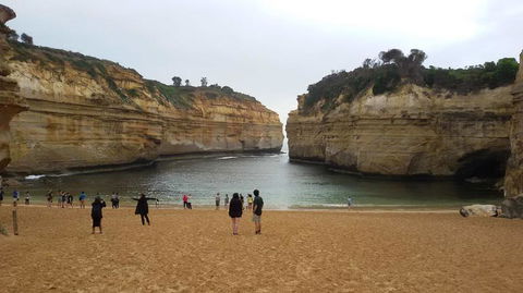 Great Ocean Road Small-Group Ecotour From Melbourne - Attractions Sydney 20