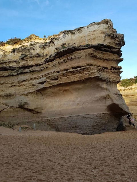 Great Ocean Road Small-Group Ecotour From Melbourne - Attractions Sydney 10