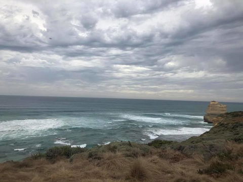Great Ocean Road Small-Group Ecotour From Melbourne - Attractions Sydney 12