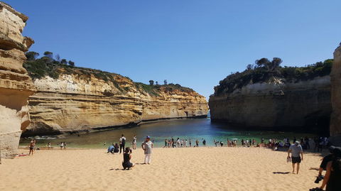Great Ocean Road Small-Group Ecotour From Melbourne - Attractions Sydney 19