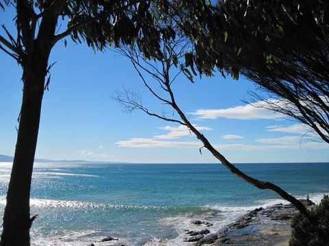 Great Ocean Road Small-Group Ecotour From Melbourne - Attractions Sydney 4