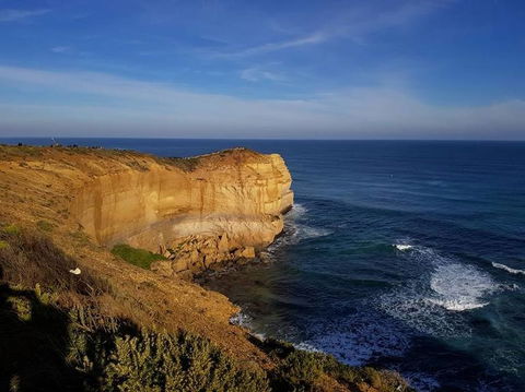 Great Ocean Road Small-Group Ecotour From Melbourne - Attractions Sydney 9
