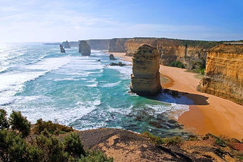 Great Ocean Road Small-Group Ecotour From Melbourne - Attractions Sydney 0