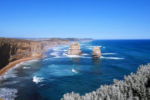 Great Ocean Road Small-Group Ecotour From Melbourne - Attractions Sydney 31