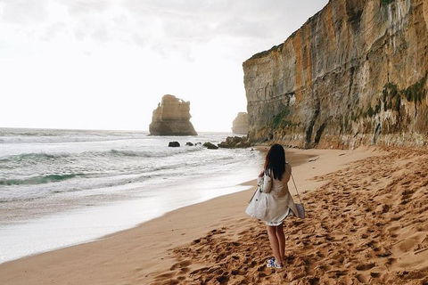Great Ocean Road Small-Group Ecotour From Melbourne - Attractions Sydney 27
